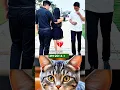 Download Lagu #videoviral #amazingmemes #unfrizemyaccount #likeandsubscribe #catvideos #funnyclips #catbombastic