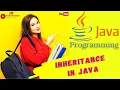 Lecture - 10 Inheritance In Java Java Tutorials In HINDI For Beginners