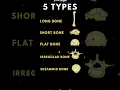 Download Lagu # type of bone