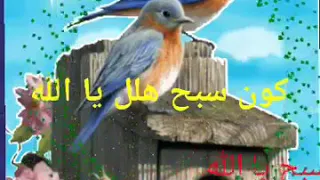 انشودة جميلة جدا كونن سبح هلل يا الله حلات وتس اب 