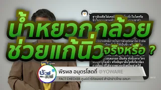 ดื่มน้ำจากกลางลำต้นกล้วยช่วยป้องกันนิ่วได้จริงหรือไม่