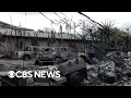 Hawaii s work to identify Maui fire victims as death toll rises