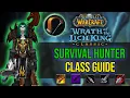 WOTLK CLASSIC - SURVIVAL HUNTER GUIDE