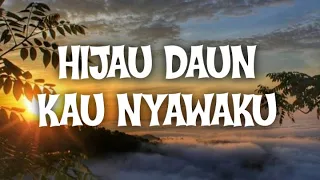 Download HIJAU DAUN - KAU NYAWAKU | THE BEST LYRIK MP3