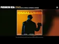 Pushkin RSA - Omalume (Official Video) (feat. Sykes, Dash SA, Springle, Supremme & T&TMusiq)