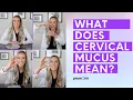 Types of Cervical Mucus - Demonstration on Hormones Impact on Your Fertility