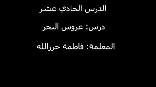 درس عروس البحر 