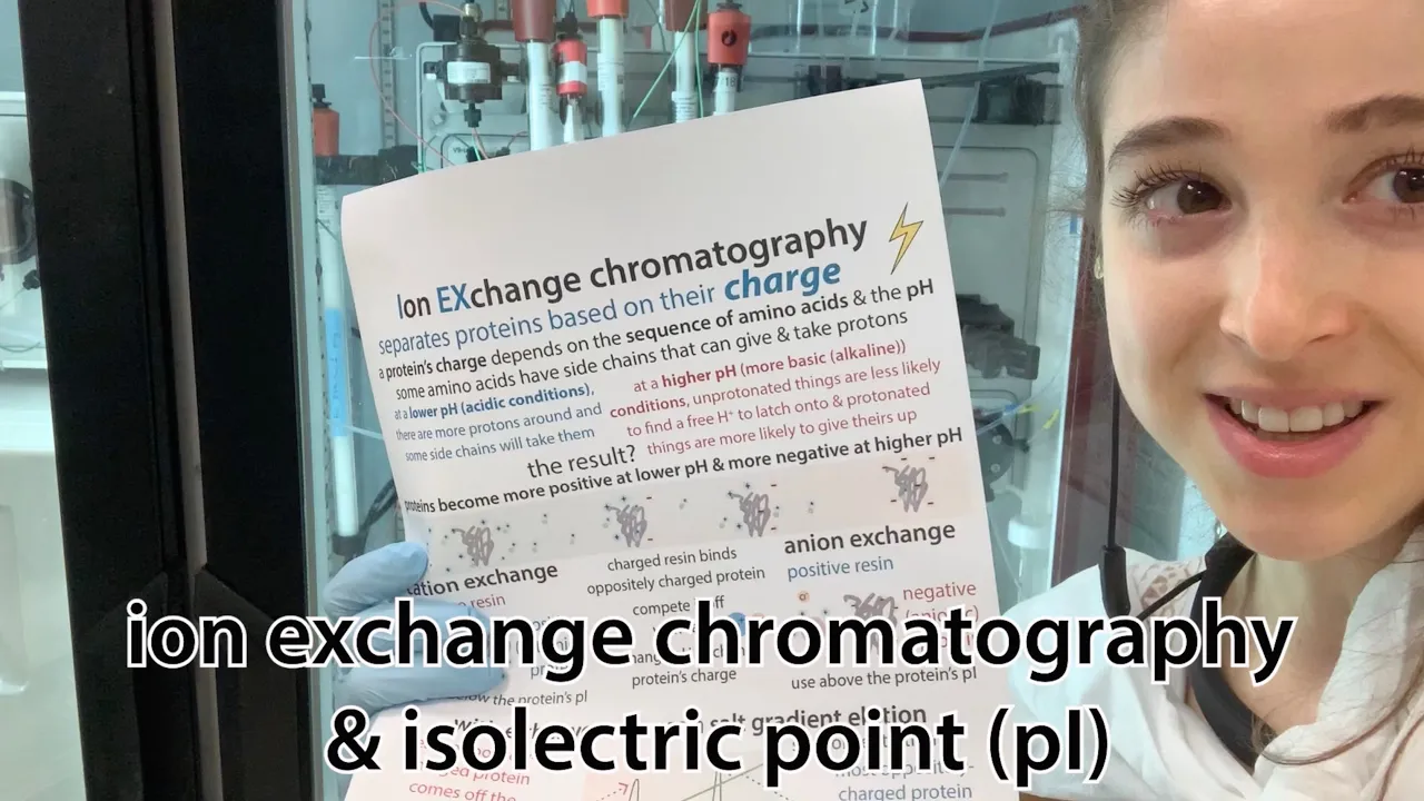 Ion exchange chromatography (IEX), pH, pKa and isoelectric point (pI) - cookie monster style!