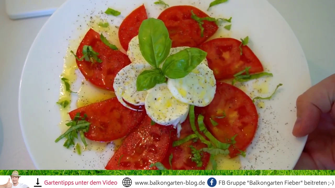 Caprese Salad | Gennaro Contaldo | Italian Special. 