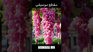 أم كلثوم أروح لمين مقطع موسيقي 