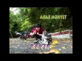 Download Lagu Kevin Susanto - Anak Monyet ( Karaoke )