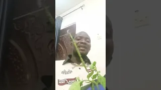 ogun ibile todaju chief dr mayowa adekanbi ilekun olodumare okan ni 