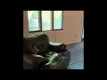 One Day Home Depot Carpet Install