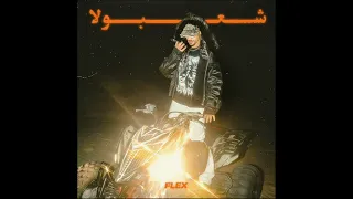                                        فليكس   ١ مش ٢ دندنها