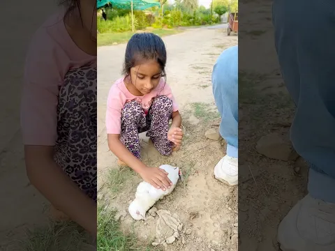 Dua ko rasty ma kya mila 🕊️💔#shorts #short #shortsfeed #youtubeshorts #help #viral #viralvideo