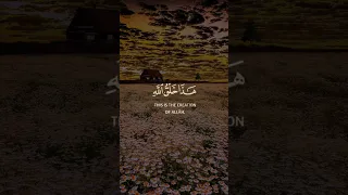 هذا خلق الله فأروني ماذا خلق الذين من دونه   تحدي إلهي بصوت ياسر الدوسري دندنها