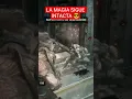 Download Lagu #gearsofwar #gears5 #like #clips #gow #shorts #short #youtubeshorts #suscribete #beta #skills