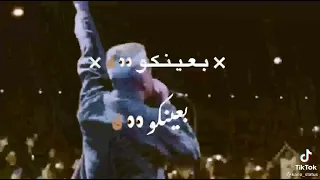كلها   نفسها   تدفن   عمها       لاكن   والله    دندنها
