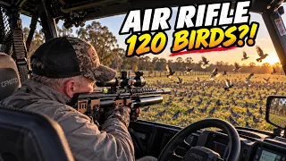 120 Birds Down - Air Rifle Pest Control Day to Night | .22 & .25 Cal PCP Shooting