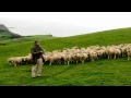 "Far from the Madding Crowd Love Theme" (Composer: Craig Armstrong)
