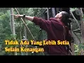 Download Lagu Untuk Dikenang (cover version) - Nufi Wardhana - Taman Botani Sukorambi Jember