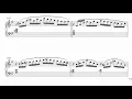 Mozart: Concerto for Piano and Orchestra No. 17 in G major 1ºand (orchestra accompaniment )