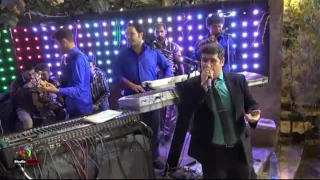 محمود تقی زاده نمکی 