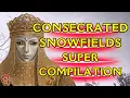 Everything You Missed In the CONSECRATED SNOWFIELDS Supercut - Elden Ring