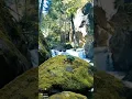 Download Lagu Terapi Burung Macet Bunyi, Suara Gemericik Air Terjun..