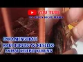 Download Lagu CARA MENGOBATI KAKI BURUNG YG KESELEO AKIBAT KEJEPIT#ysalbenkicaumania