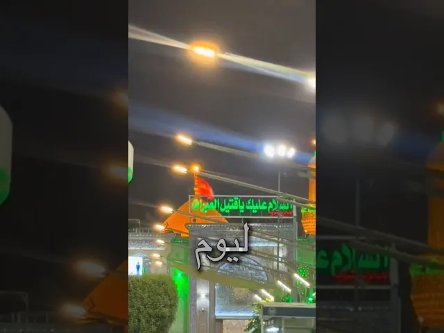 ذكرى وفاة السيدة سكينة بنت الامام الحسين عليه السلام