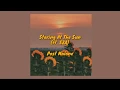 Download Lagu Post Malone // Staring At The Sun // Lyrics // ft. SZA