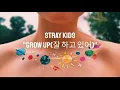 Stray kids "GROW UP"/ "잘하고있어"/ letras en hangul kpop