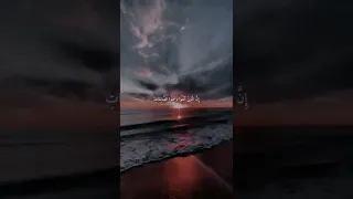 وكلهم آتيه يوم القيامة فردا سورة مريم قارئ عبدالرحمن مسعد Shorts حالات واتساب 