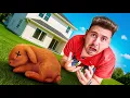 Download Lagu MEU NOVO COELHINHO ENCONTRADO NO LIXO NÃO ESTÁ BEM!