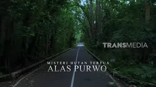 Download Misteri Hutan Tertua Alas Purwo | SECRET STORY (17/03/23) MP3