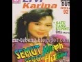 Download Lagu ALIM DICANDUNG_ERVI KARINA