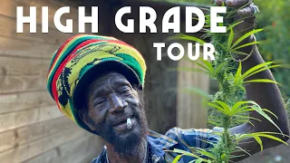 high grade tour with rasta mokko