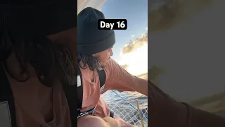 Day 16 sailing from Oregon to Hawaii with my cat.
