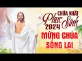 Lagu THÁNH CA CHÚA PHỤC SINH 2024 - MỪNG CHÚA SỐNG LẠI HALLELUJAH ! Nhạc Thánh Ca Công Giáo 2024