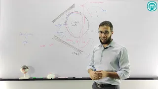 Anatomy Of The Eye With DR Ahmed Emara 