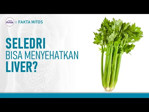 Mitos Fakta Seledri, Benarkah Bisa Menyehatkan Liver?