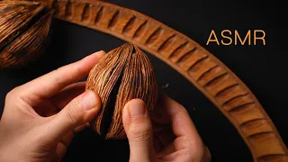 ASMR The Ultimate Trigger Collection for Sleep 🌙