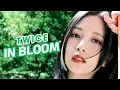 Download Lagu TWICE AI Cover｜In Bloom (by ZEROBASEONE)