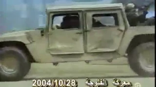 سباع الزلم روبينا بالفلوجة 