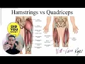 MBLEx Review How to REMEMBER the Hamstrings vs Quadriceps Muscles