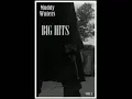 Muddy Waters - Good Morning Little Schoolgirl