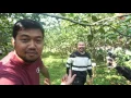 Download Lagu KEBUN JAMBU WIRANAGARA DAN ORKES PENSIL ALIS - #BLAR 061