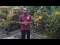 A Message From Pastor Gittens