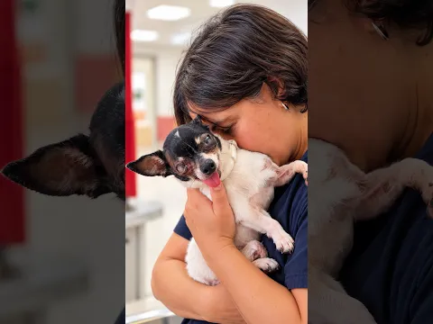 Kiko va a perder un ojo. No va a pasar por esto solo.